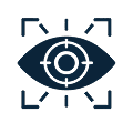 Vision